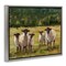 Stupell Industries Flock of Sheep Painting Framed Floater Canvas Wall Art